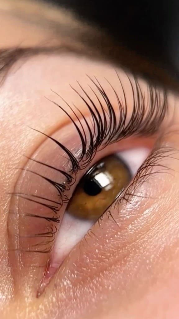 Extension Ciglia — Dettaglio